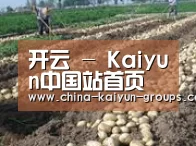 种植基地八