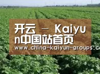 种植基地五(图1)