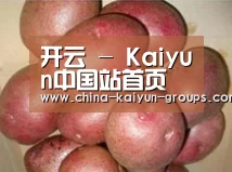 产品展示标题1