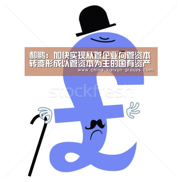 郝鹏:加快实现从管企业向管资本转变形成以管资本为主的国有资产监管体制【kaiyun】(图1) 开云