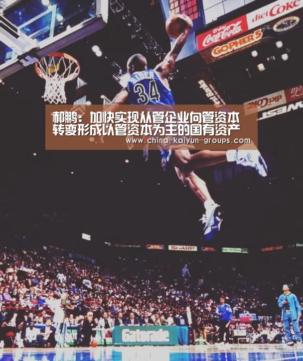 郝鹏:加快实现从管企业向管资本转变形成以管资本为主的国有资产监管体制【kaiyun】(图3) 开云