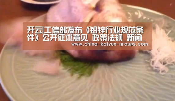 开云|工信部发布《铅锌行业规范条件》公开征求意见_政策法规_新闻_矿道网(图2)