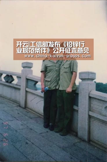 开云|工信部发布《铅锌行业规范条件》公开征求意见_政策法规_新闻_矿道网(图3)